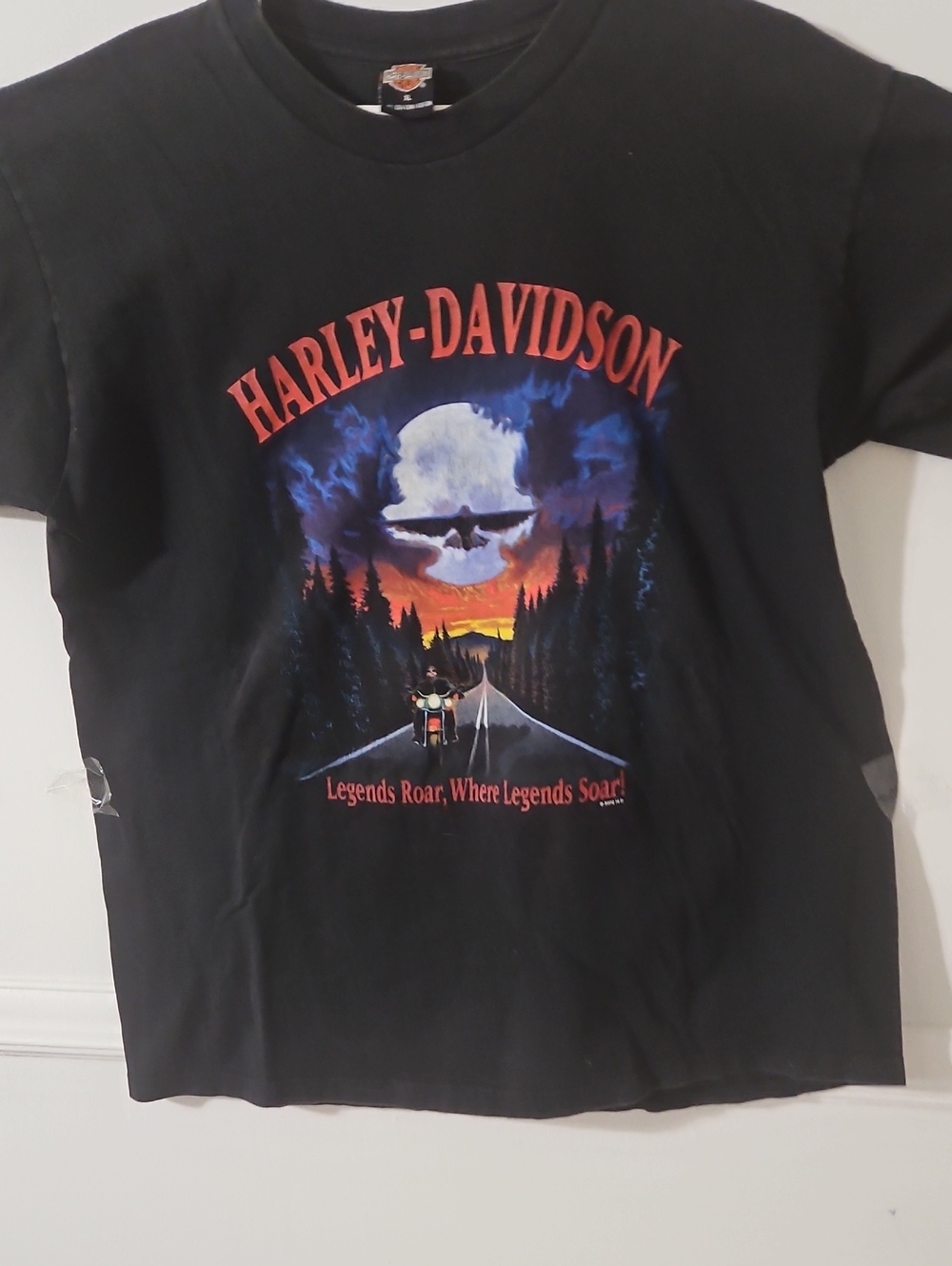 Vintage Harley-Davidson Legends Roar Where Legends Soar Men's tee